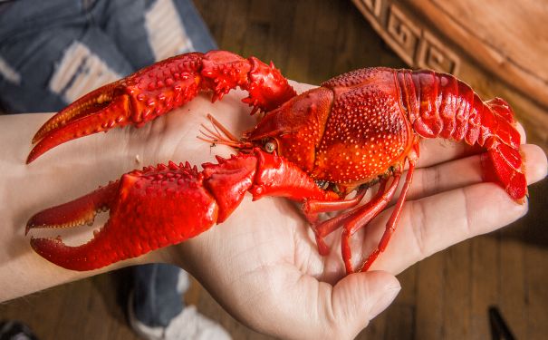 SEO新手必學(xué):提升網(wǎng)站四倍流量的外鏈引流技巧